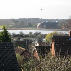 IMG 0190