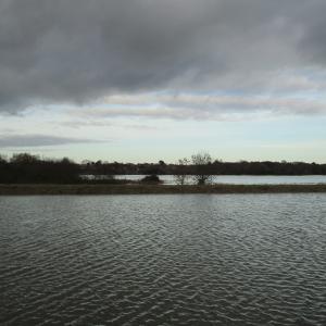 IMG 0196