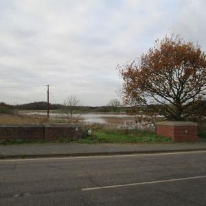 IMG 0200