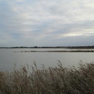 IMG 0214