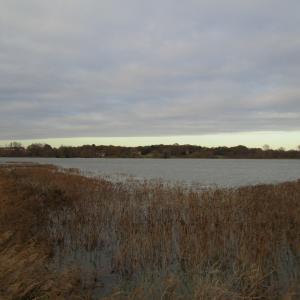 IMG 0215