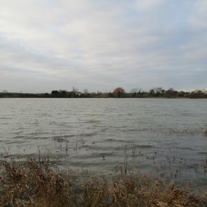 IMG 0217