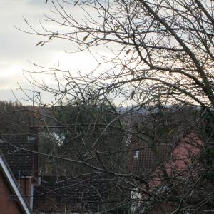IMG 0229