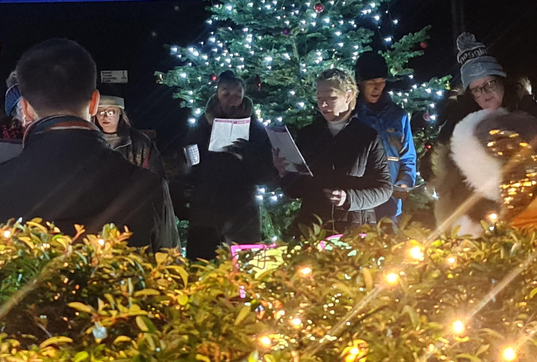 Carols on the Green, Friday 19 December