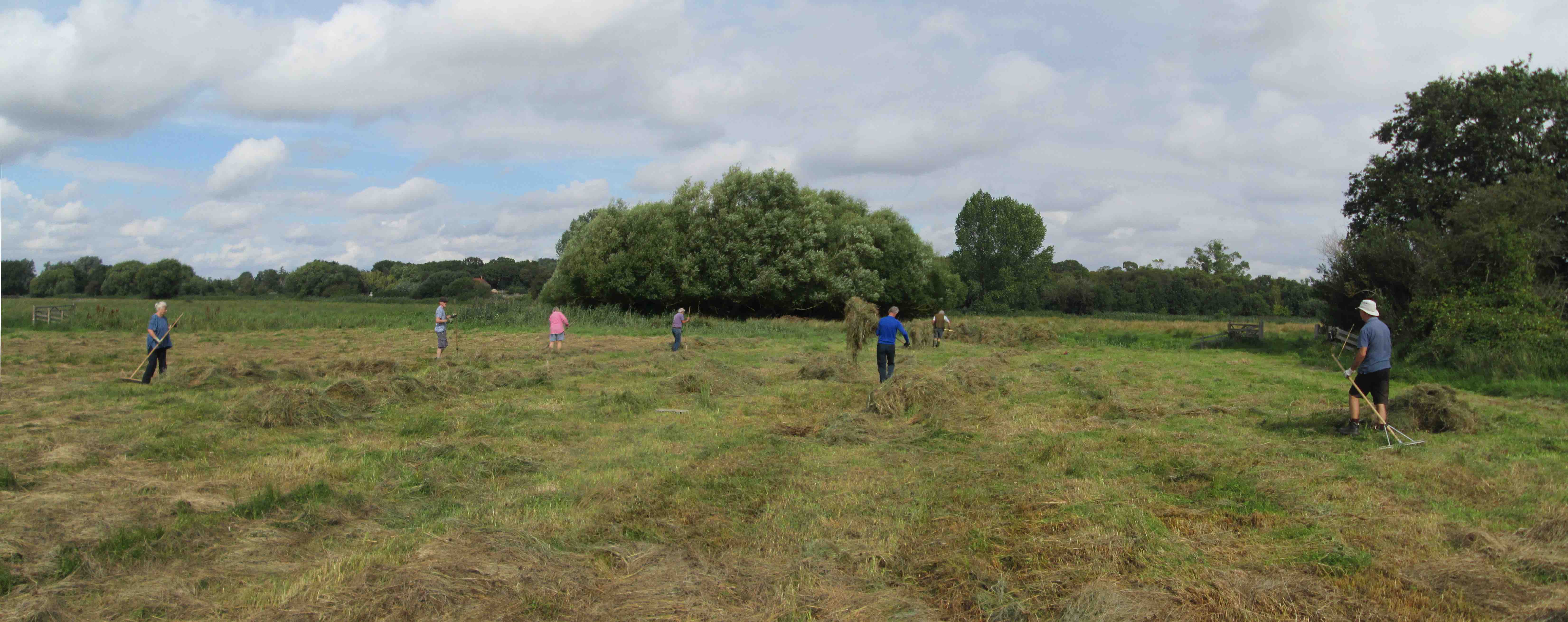 Raking on Snape Marshes, 10/9/21