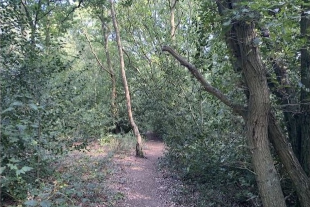 Snape Common Management Plan
