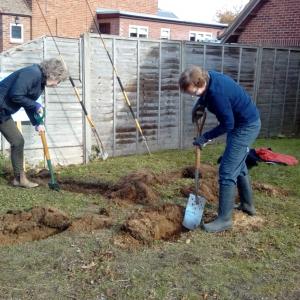 181104 digging beds