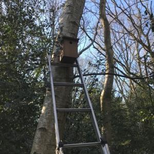 tit nest-box