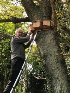 220423 Derek fitting bat boxes IMG 5656