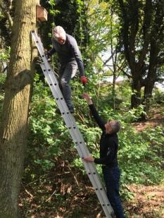 220423 RichardF and JohnS fitting bat box IMG 5642 23rds