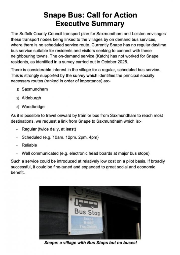 Call for Action Executive Summary