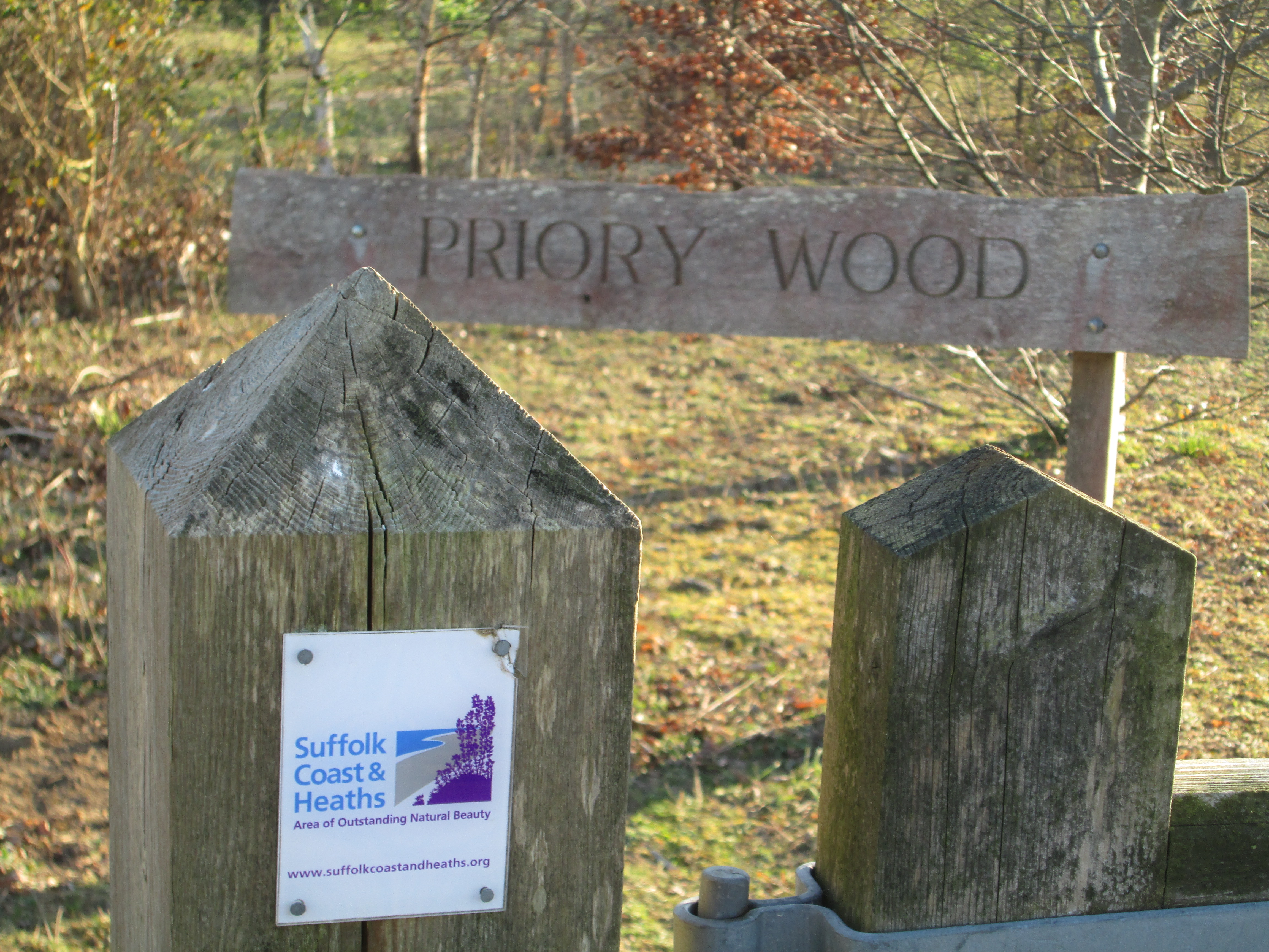 IMG 4250 Priory Wood