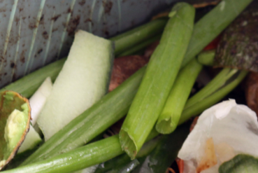 Food waste collection in East Suffolk