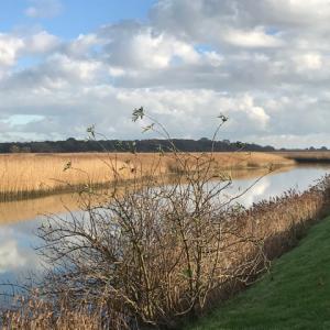 Snape Marshes from the quay