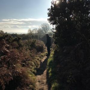 Snape Warren