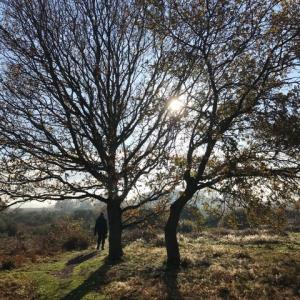Snape Warren