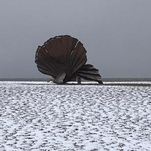 Aldeburgh Scallop after snow
