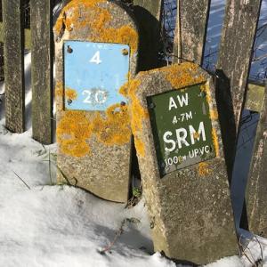 hydrant signs after the snow