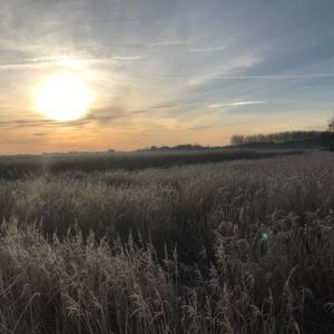 Snape Maltings frosty sun