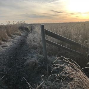 frosty December day