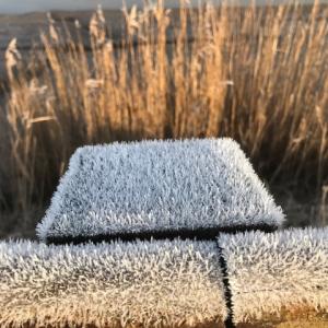frosty post
