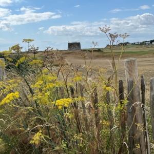 Shingle Street