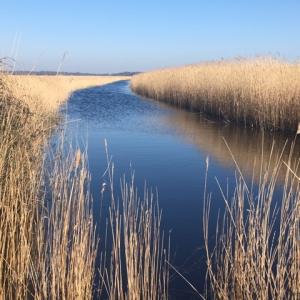 The Alde