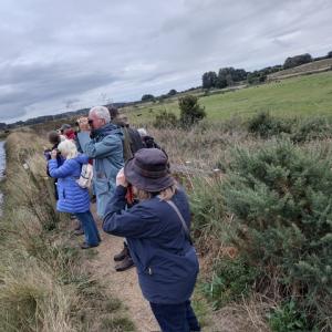 Martlesham Wilds SWT reserve