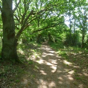 'twixt Carnser and river wall