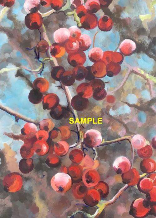 221111 ALB Bookshop AOA Xmas card berries SAMPLE