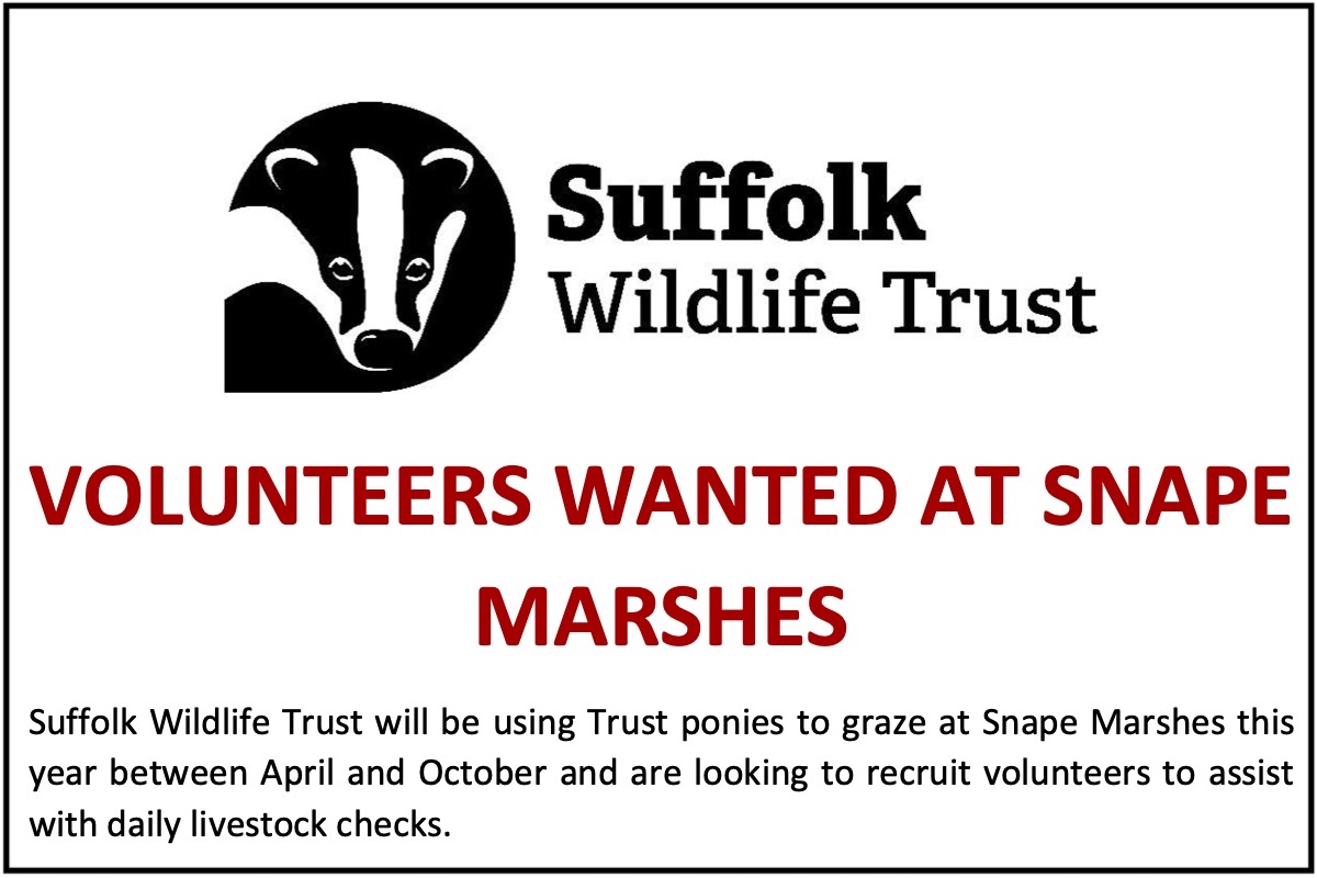 Pony-caring volunteers for Snape Marshes