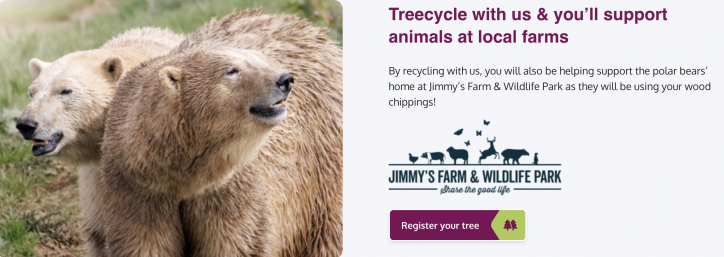 St Eliz Jimmys polar bears