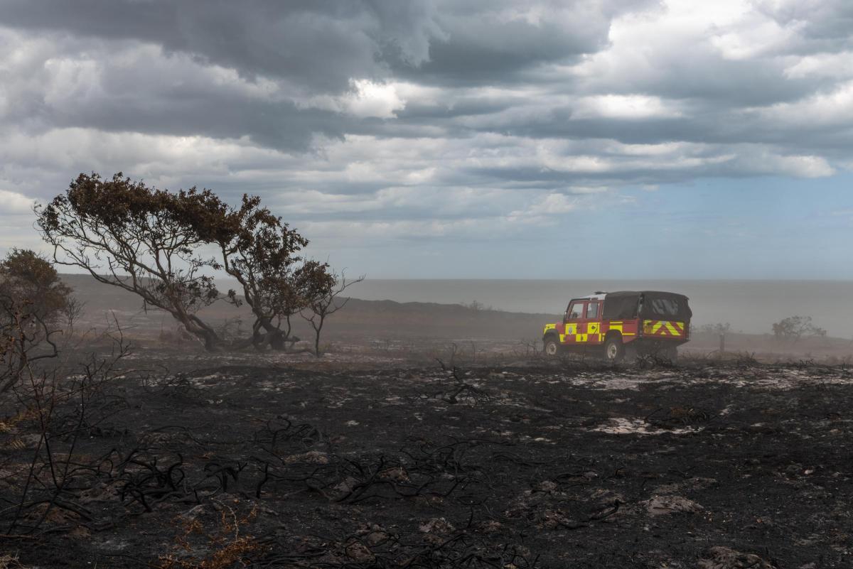 MP's call on SCC to re-prioritise Climate Action
